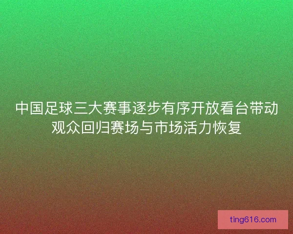 中国足球三大赛事逐步有序开放看台带动观众回归赛场与市场活力恢复