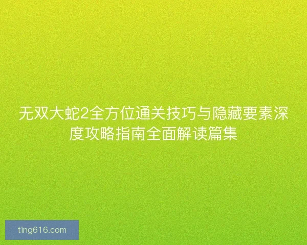 无双大蛇2全方位通关技巧与隐藏要素深度攻略指南全面解读篇集