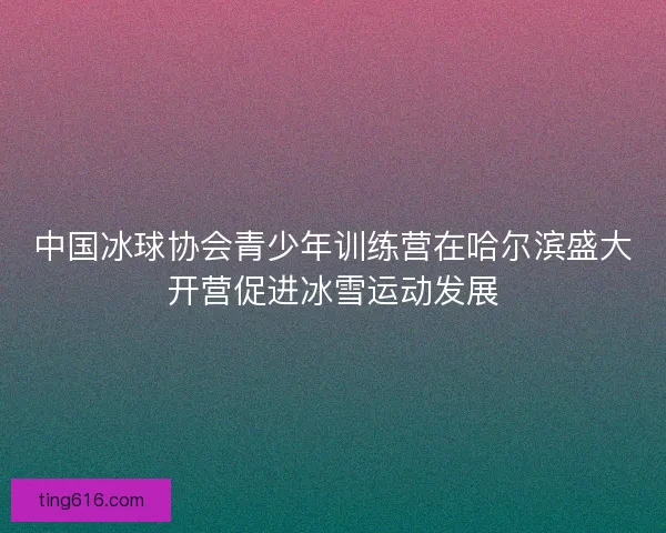 中国冰球协会青少年训练营在哈尔滨盛大开营促进冰雪运动发展