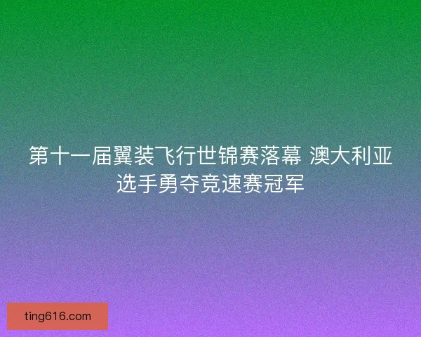 第十一届翼装飞行世锦赛落幕 澳大利亚选手勇夺竞速赛冠军