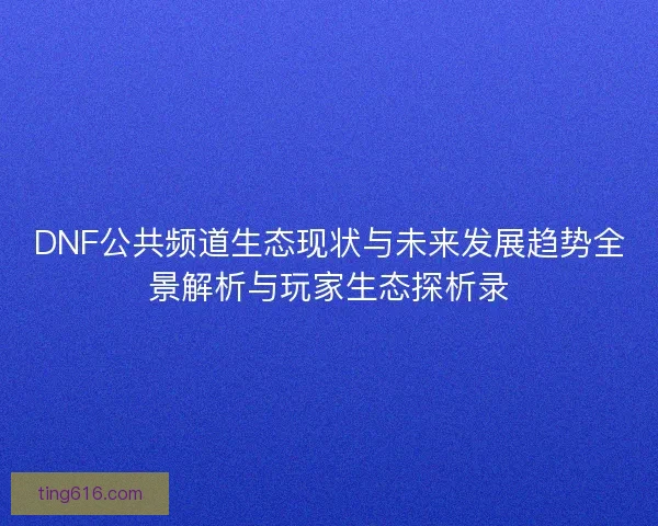 DNF公共频道生态现状与未来发展趋势全景解析与玩家生态探析录